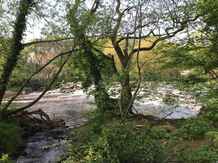 River Airebnb 布雷得佛 外观 照片